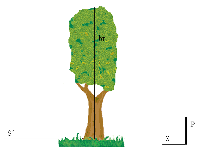 Medición geométrica de un obstáculo