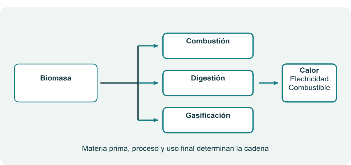 Figura 8. Biomasa y rutas de conversión energética